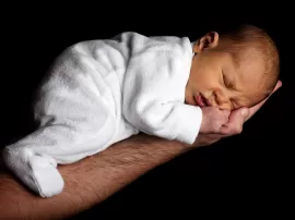 Los mejores cuidados para erizos recién nacidos aprende todo sobre su crianza