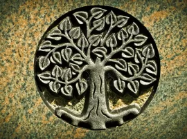 Aprende todo sobre el árbol de la vida: beneficios y propiedades de la moringa