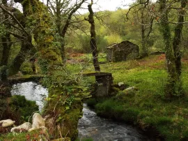 Cabañas en el bosque de Galicia 12 encantadoras opciones para disfrutar la naturaleza