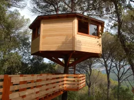 Casas de madera en árboles: la nueva tendencia en turismo rural sostenible