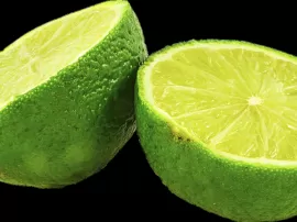 Consejos prácticos para cuidar tu limonero en maceta